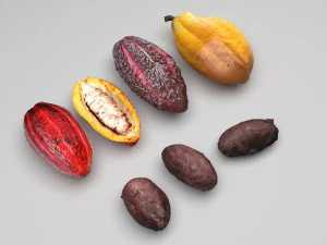 Cocoa Fruits and Beans Set 3D Model