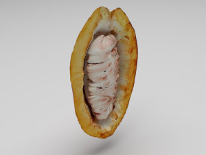 Cocoa Fruits and Beans Set Model 3D
