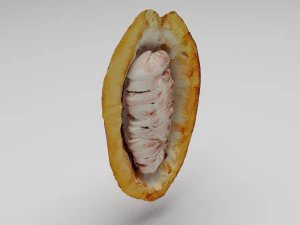 Cocoa Fruits and Beans Set 3D Model
