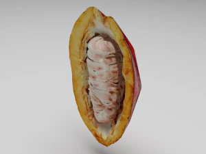 Cocoa Fruits and Beans Set 3D Model