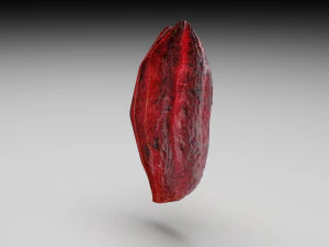 Cocoa Fruits and Beans Set 3D Model
