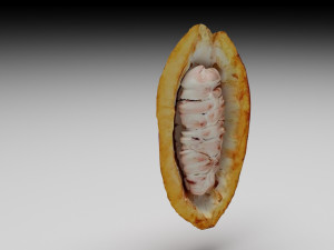 Cocoa Fruits and Beans Set Model 3D