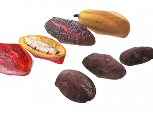 Cocoa Fruits and Beans Set Model 3D
