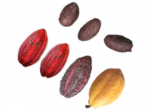 Cocoa Fruits and Beans Set Model 3D