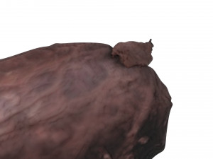 Cocoa Fruits and Beans Set Model 3D