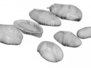 Cocoa Fruits and Beans Set 3D Model