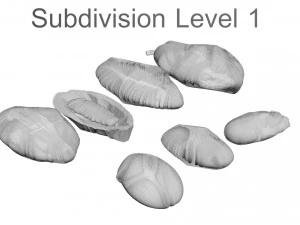 Cocoa Fruits and Beans Set 3D Model