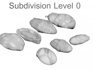 Cocoa Fruits and Beans Set 3D Model