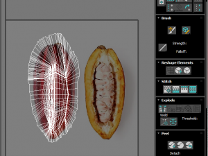 Cocoa Fruits and Beans Set Model 3D