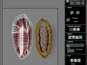 Cocoa Fruits and Beans Set 3D Model