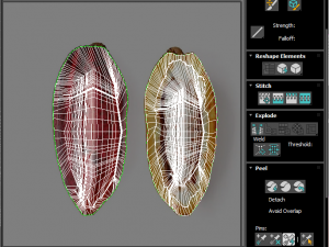 Cocoa Fruits and Beans Set Model 3D