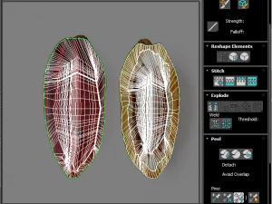 Cocoa Fruits and Beans Set 3D Model