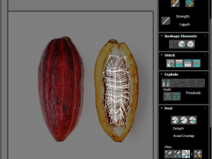 Cocoa Fruits and Beans Set Model 3D