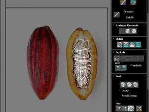 Cocoa Fruits and Beans Set 3D Model