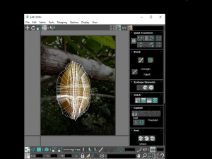 Cocoa Fruits and Beans Set Model 3D