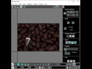 Cocoa Fruits and Beans Set 3D Model