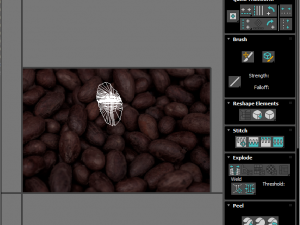 Cocoa Fruits and Beans Set Model 3D