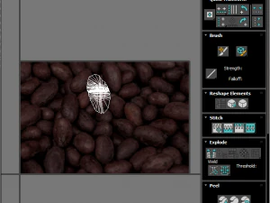 Cocoa Fruits and Beans Set 3D Model