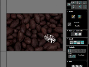 Cocoa Fruits and Beans Set 3D Model