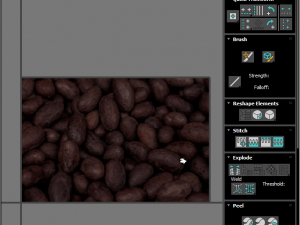 Cocoa Fruits and Beans Set Model 3D