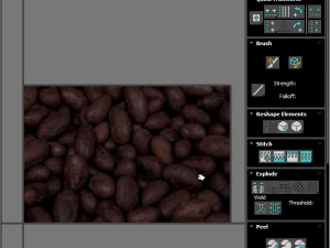 Cocoa Fruits and Beans Set 3D Model