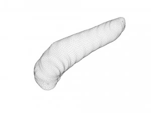 Pinworm 3D Model