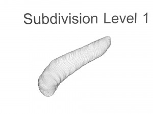 Pinworm 3D Model