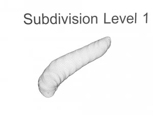 Pinworm 3D Model