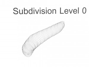 Pinworm 3D Model