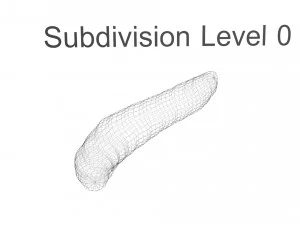 Pinworm 3D Model