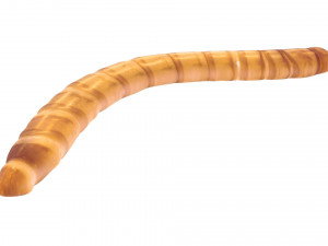 Mealworm 3D 模型