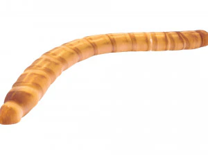 Mealworm 3D Model