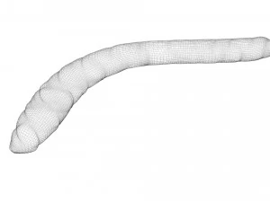 Mealworm 3D Model