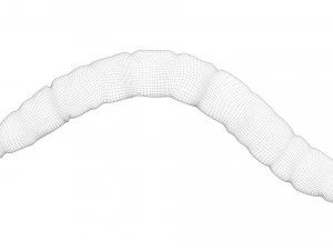 Mealworm 3D Model