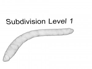 Mealworm 3D 模型