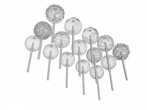 Cake Pops Set 3D Модель