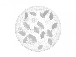 Margherita Pizza 3D Model