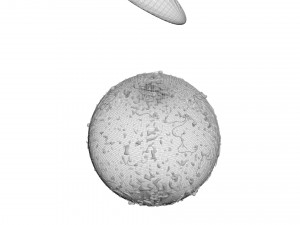 Human Egg With Sperm Cell Model 3D