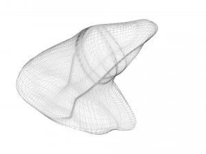 Liver 3D Model