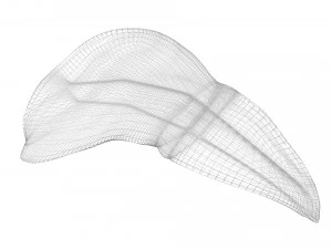 Liver 3D Model