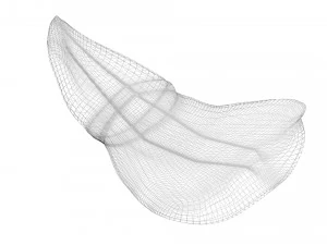 Liver 3D Model
