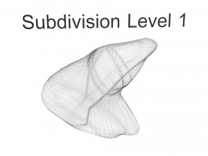 Liver Model 3D