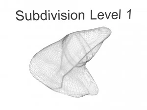 Liver 3D Model