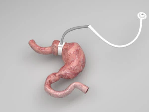 Perut Dengan Pita Perut Model 3D