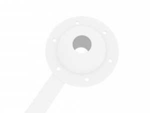 Stomach With Stomach Band 3D Model