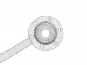 Stomach With Stomach Band 3D Model