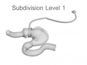 Stomach With Stomach Band 3D Model
