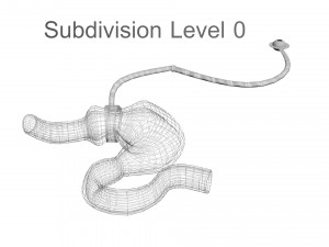 Stomach With Stomach Band 3D Model