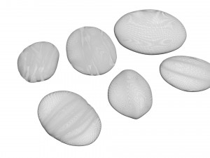 Galaxy Rocks Set 3D Модель