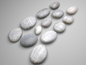 Grey and White Rocks Set 3D Model